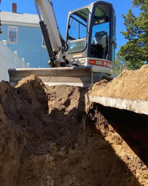 Xpert Tree Service
