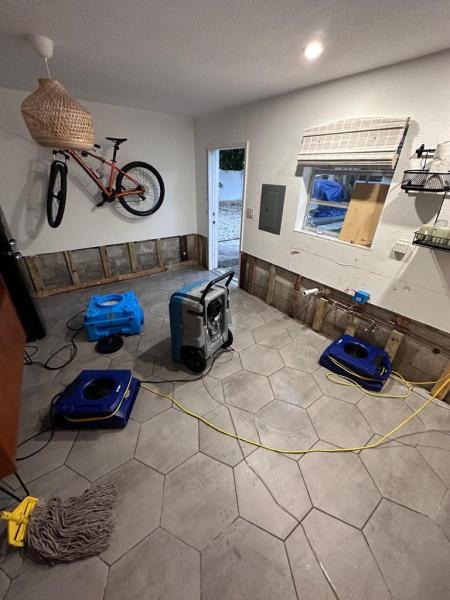 The Phoenix Restoration. Water Damage