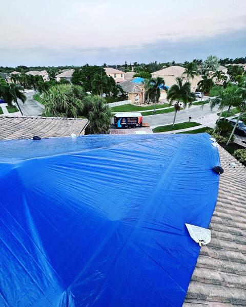 The Phoenix Restoration. Water Damage