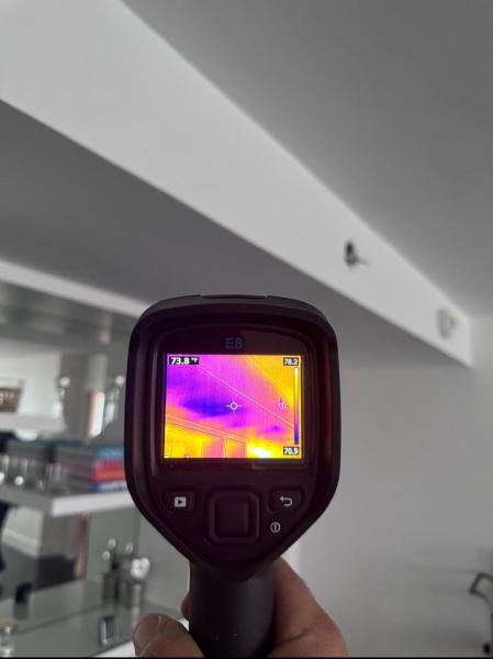 The Phoenix Restoration. Water Damage