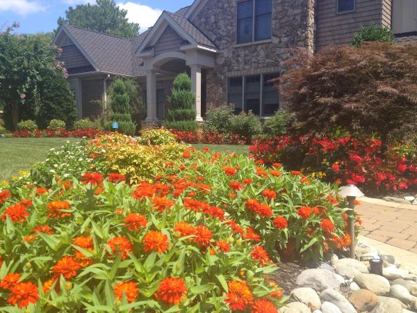 Dreamscape Designers Landscape Company