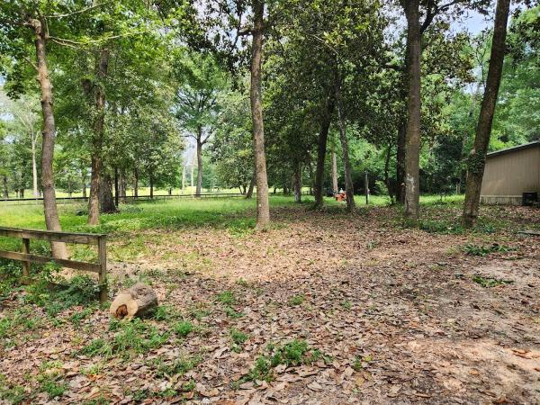 North Lake Tree Service