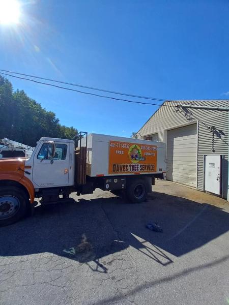 Daves Tree Service