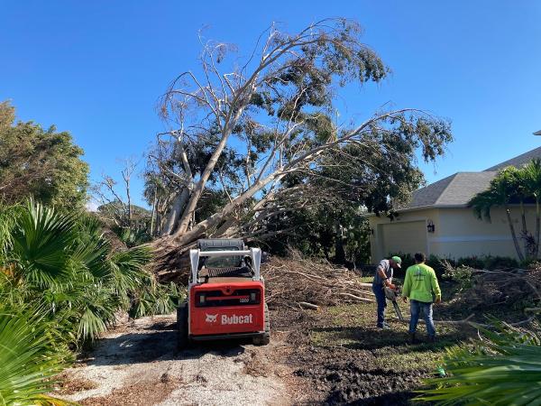Logcutters Tree Service