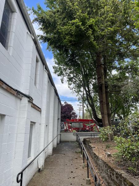 Harrity Tree Specialists