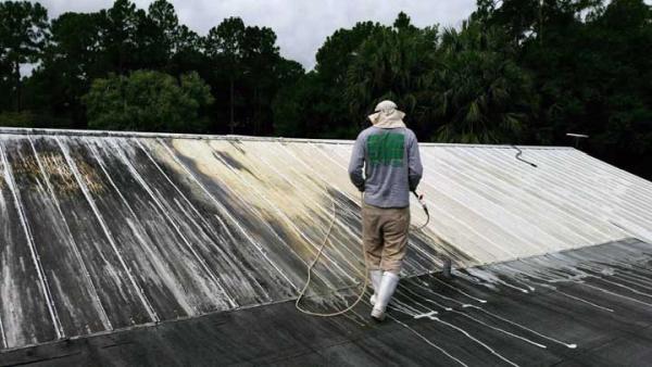 Paul Stetson Tree Service and Pressure Cleaning