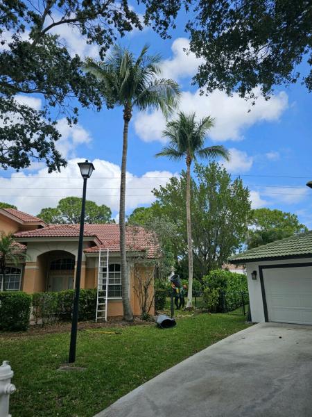 Paul Stetson Tree Service and Pressure Cleaning