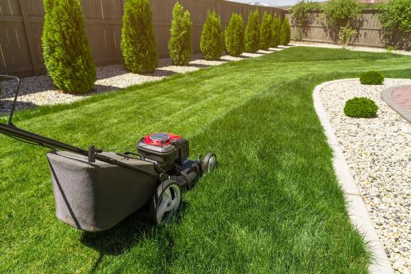 Giving Tree Lawn Care