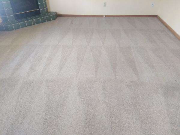 Tender Touch Carpet Cleaning