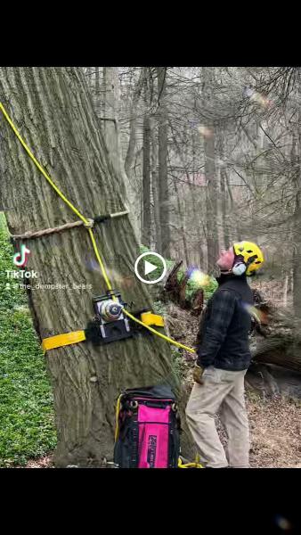 High Falls Tree Service