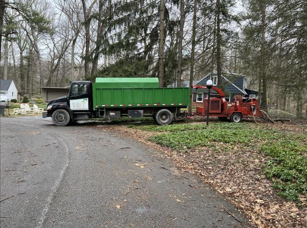 High Falls Tree Service