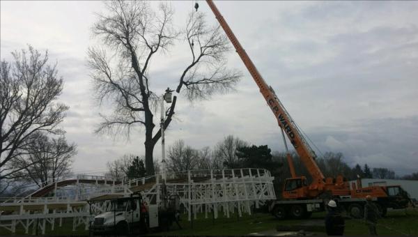 High Falls Tree Service