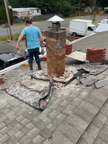 The Chimney Pros