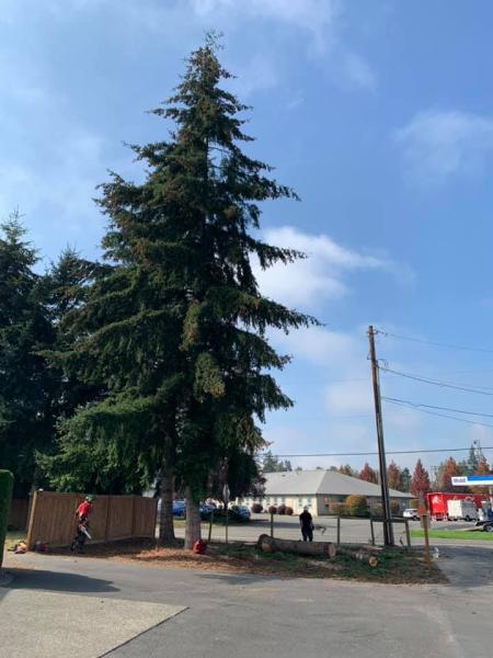 Capital City Landscape Maintenance