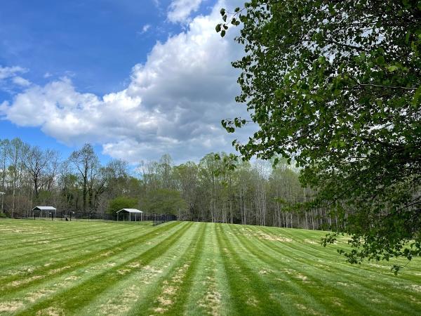 Pro Series Lawn Care Inc