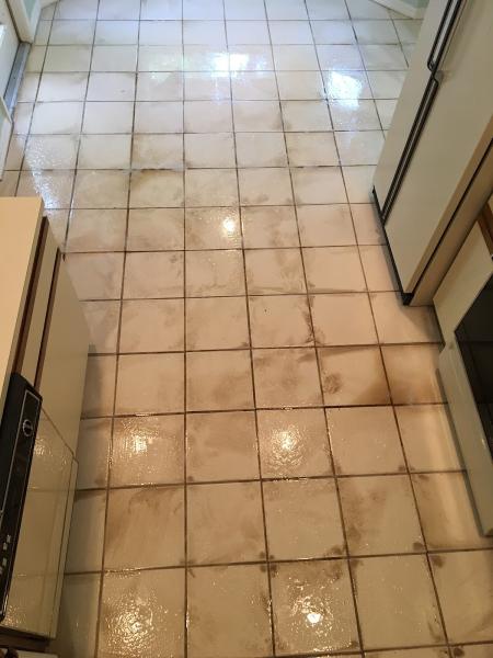 Grout Genie Carpet & Tile Cleaning