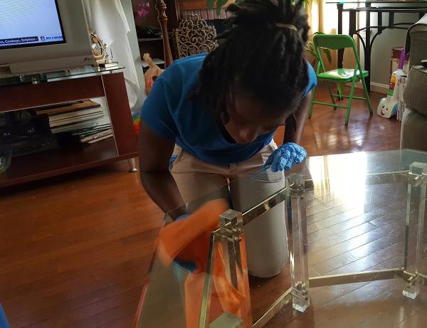 The Cleaning House Company