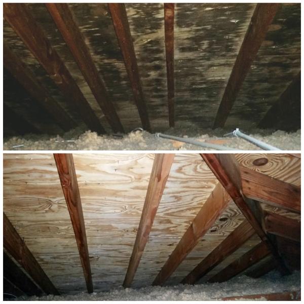Procare Restoration