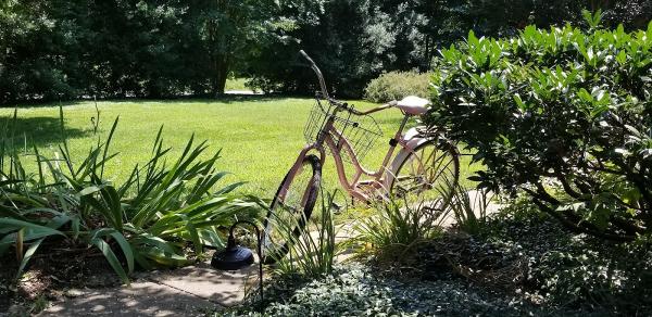 Creative Land Design