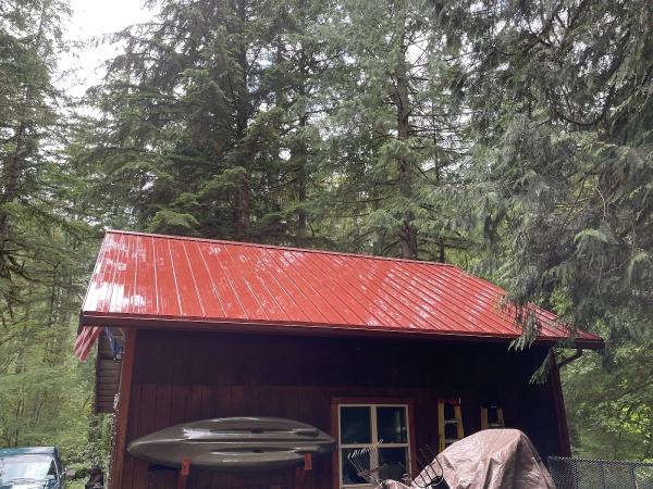 Peak Roof and Gutter Cleaning