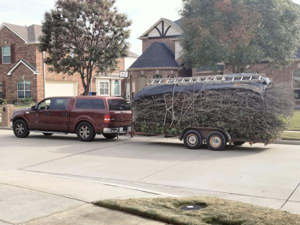 McKinney Tree Trimmers