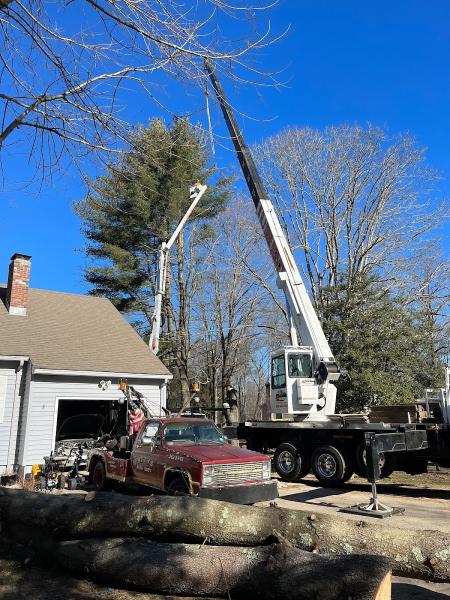 K&J Tree Service