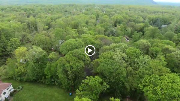 K&J Tree Service
