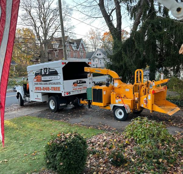 K&J Tree Service