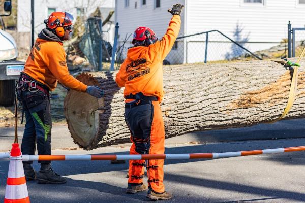 K&J Tree Service