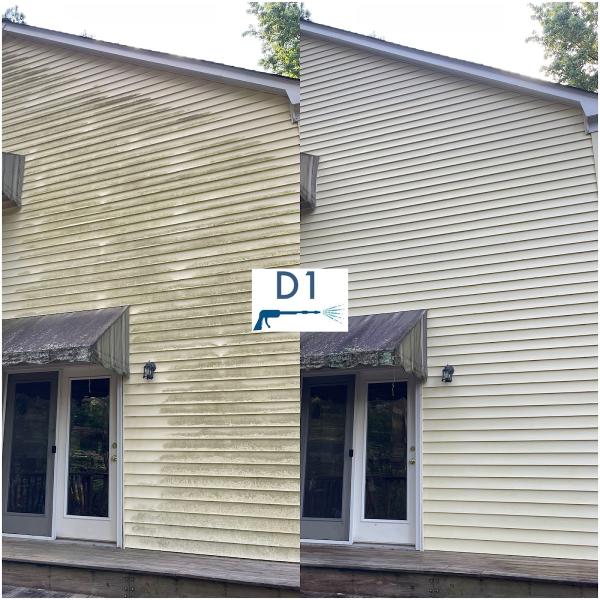 D1 Pressure Washing