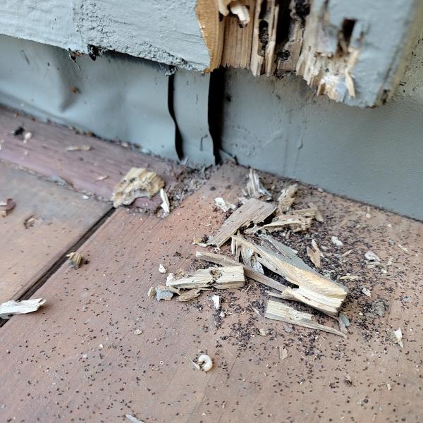 J & M Termite Control Inc