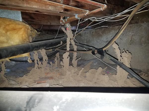 J & M Termite Control Inc