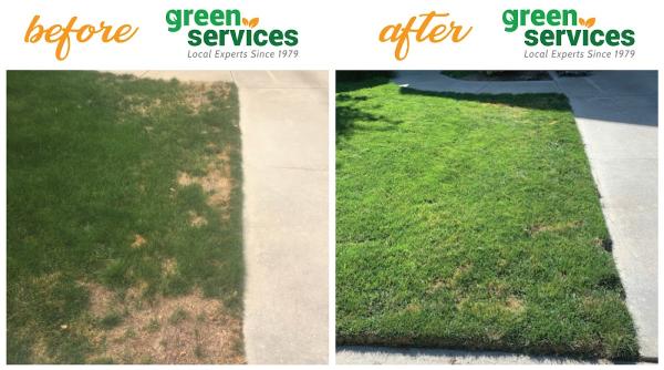 Green Services