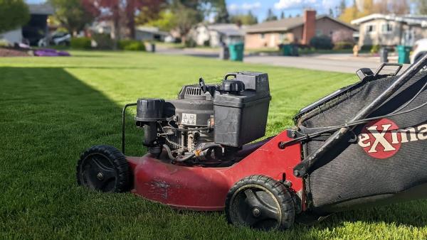 Automated Lawn & Pest