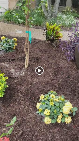 Progressive Lawn & Landscaping
