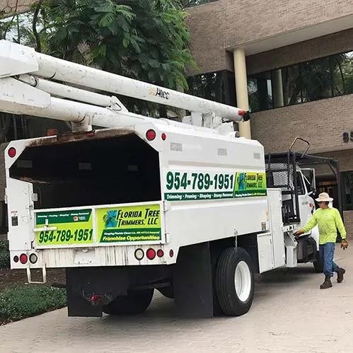 Florida Tree Trimmers LLC