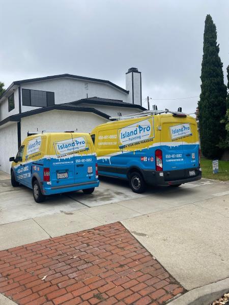 Island Pro Painting