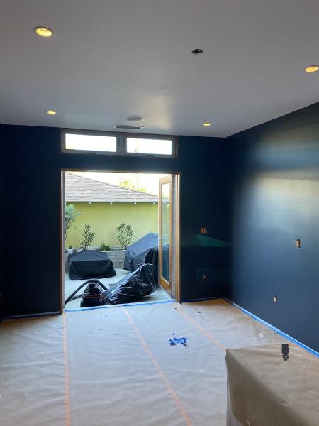 Island Pro Painting