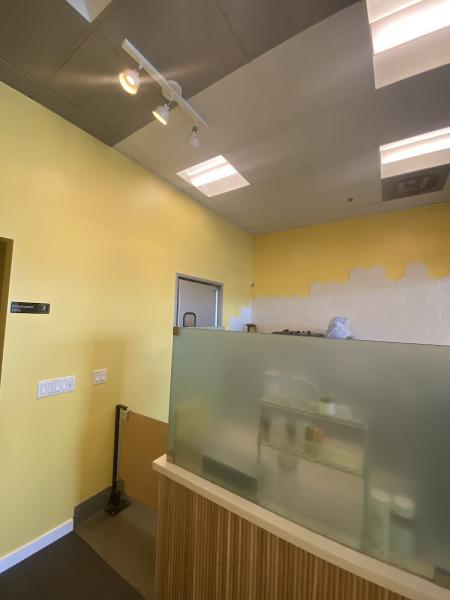 Island Pro Painting
