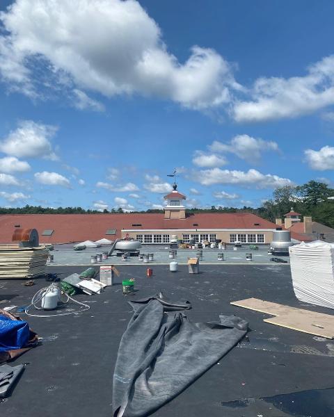 Aspen Roofing Services