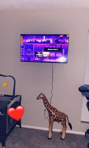 Rico's Relocation Movers & TV Mounting