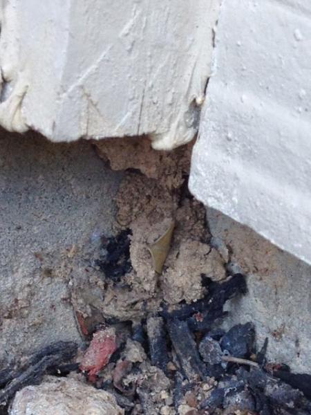 Bulls-Eye Pest & Termite Control