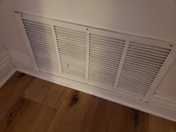 A Perfect Shine Cleaning