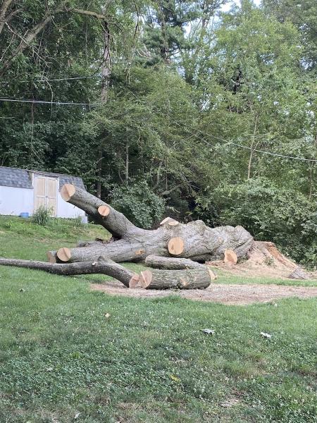 North Country Tree Care