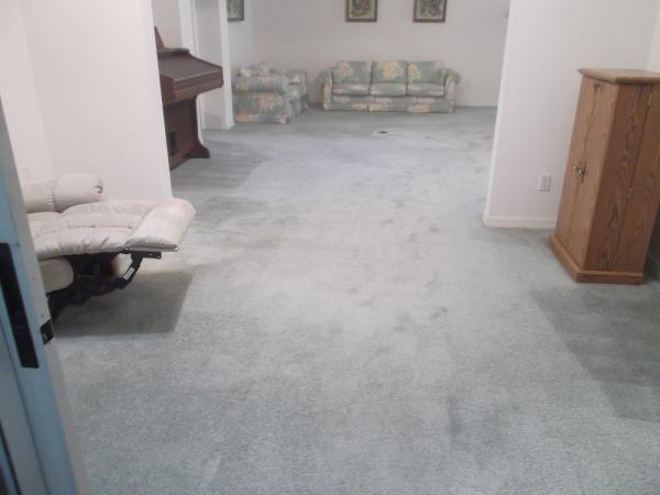Dan Dan the Carpet Man