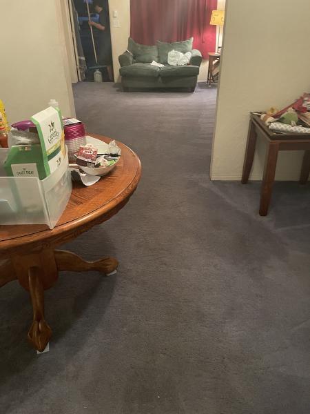 Dan Dan the Carpet Man