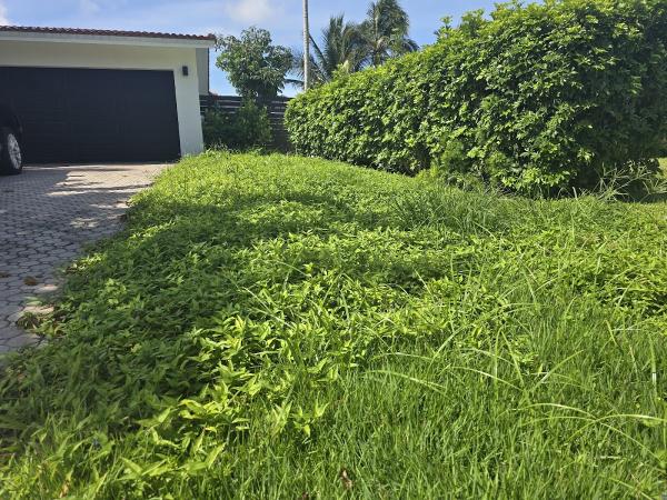 Showtime Landscaping Inc