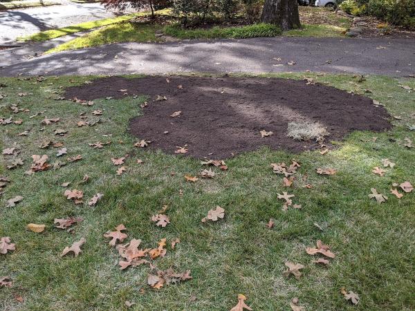 Yardworks