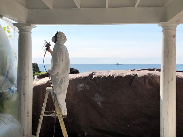 NS Pro Painting Services