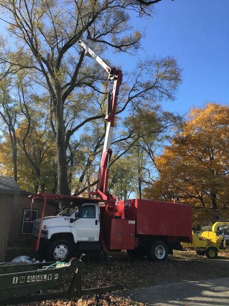 Eliseo's Tree Service